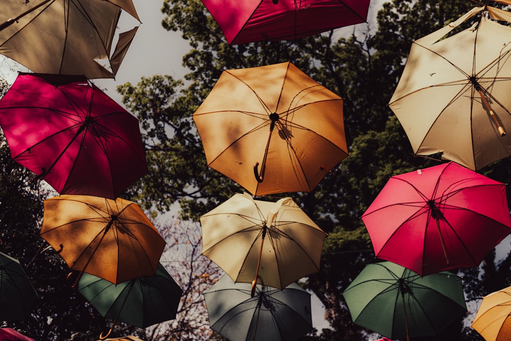 red umbrella under sunny sky