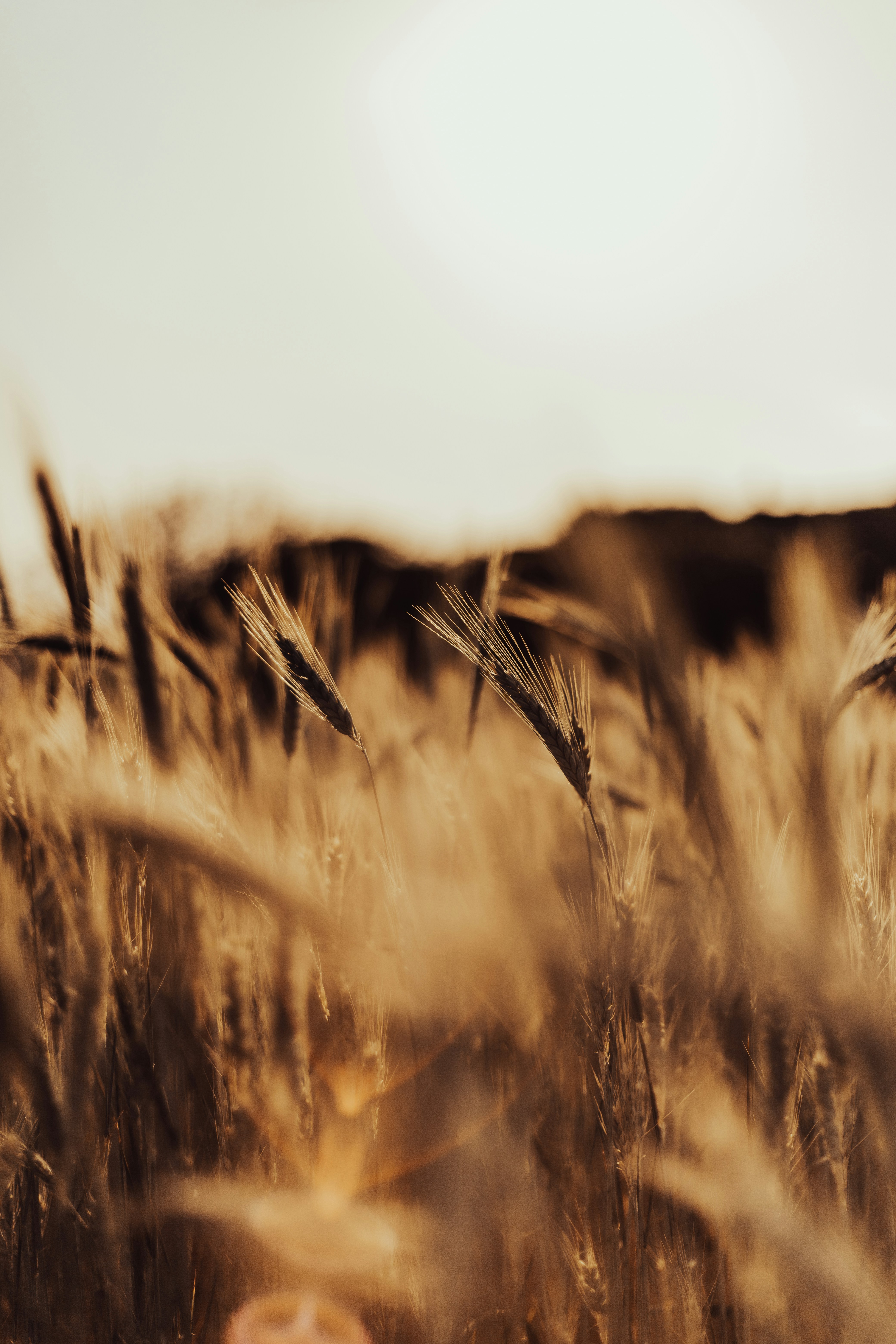 Photo by _staticvoid