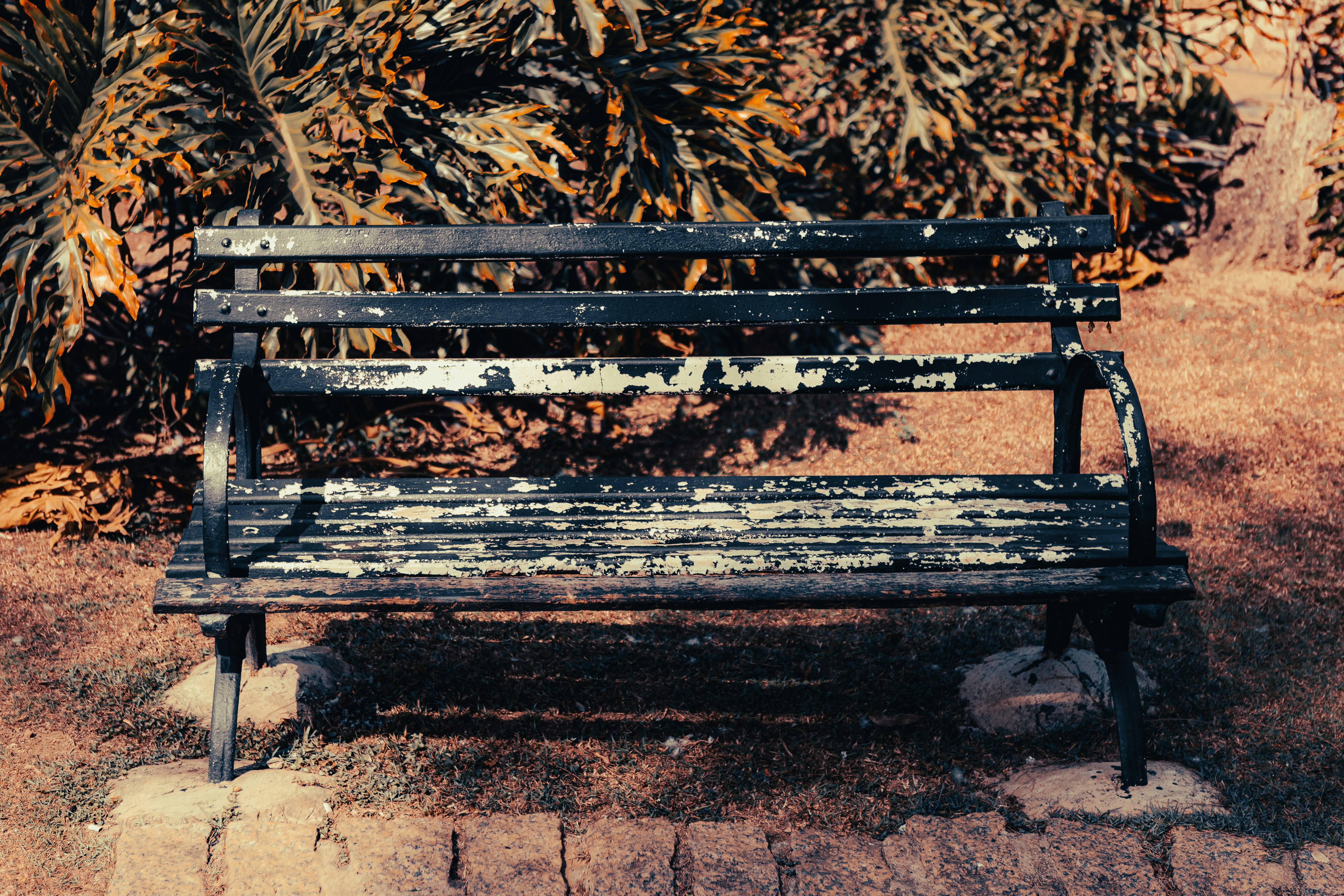 Empty bench