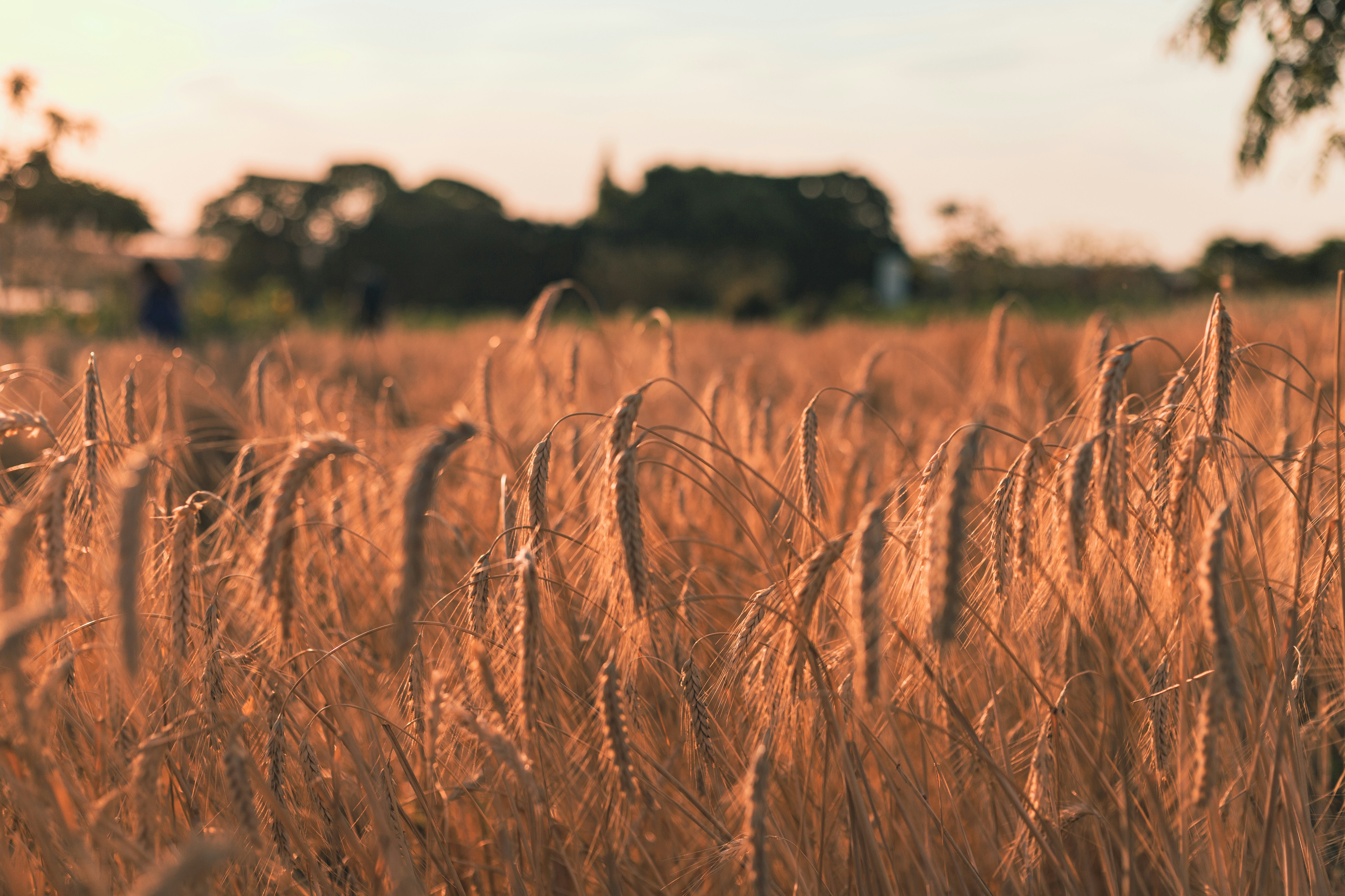 Photo by _staticvoid