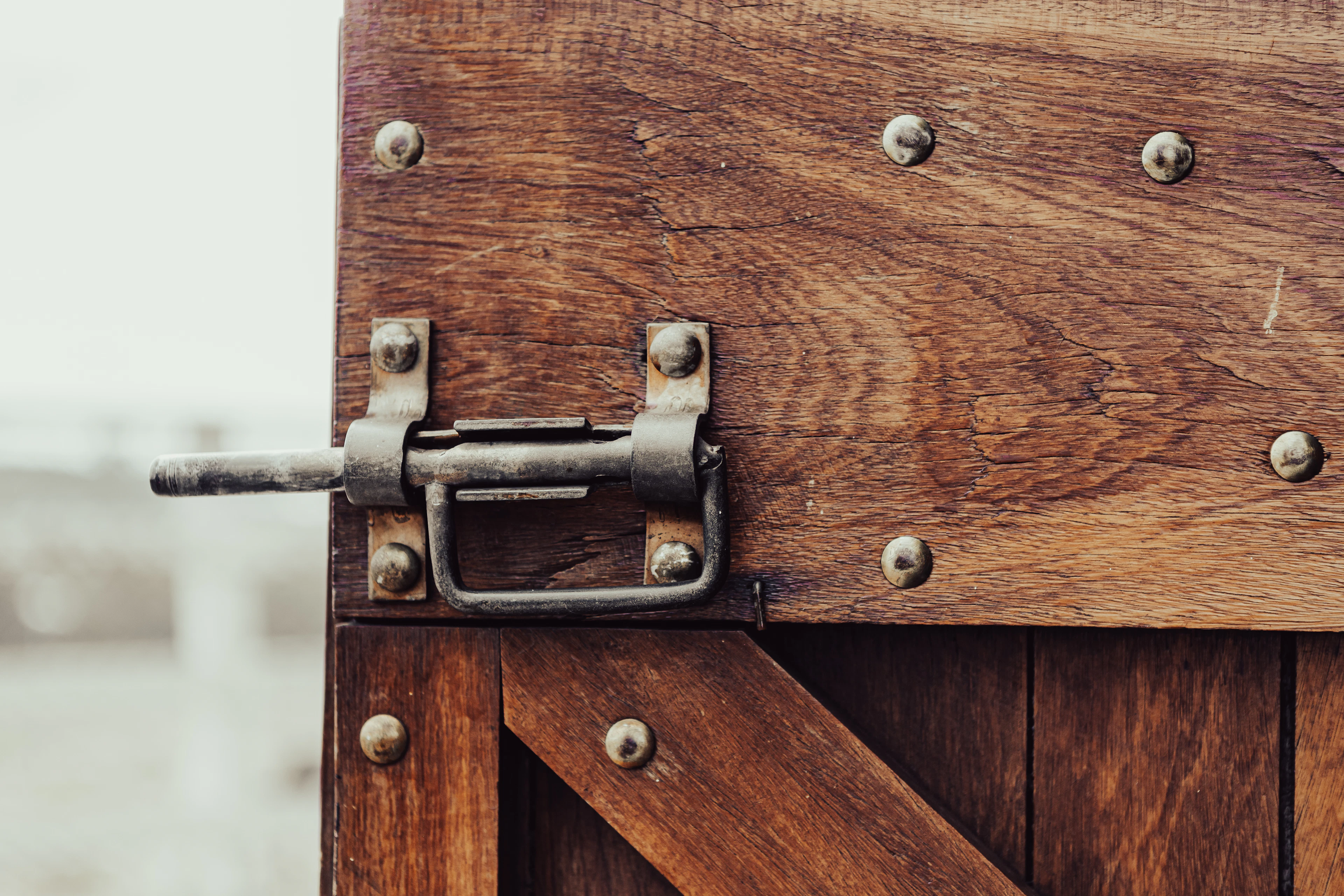 Wooden door with a steel hinge