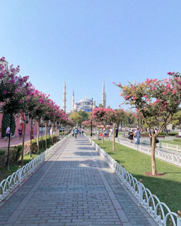 Pilgrims walking through the serene pathways of Mina during the Hajj season