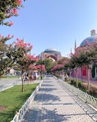 people walking on park near building during daytime
