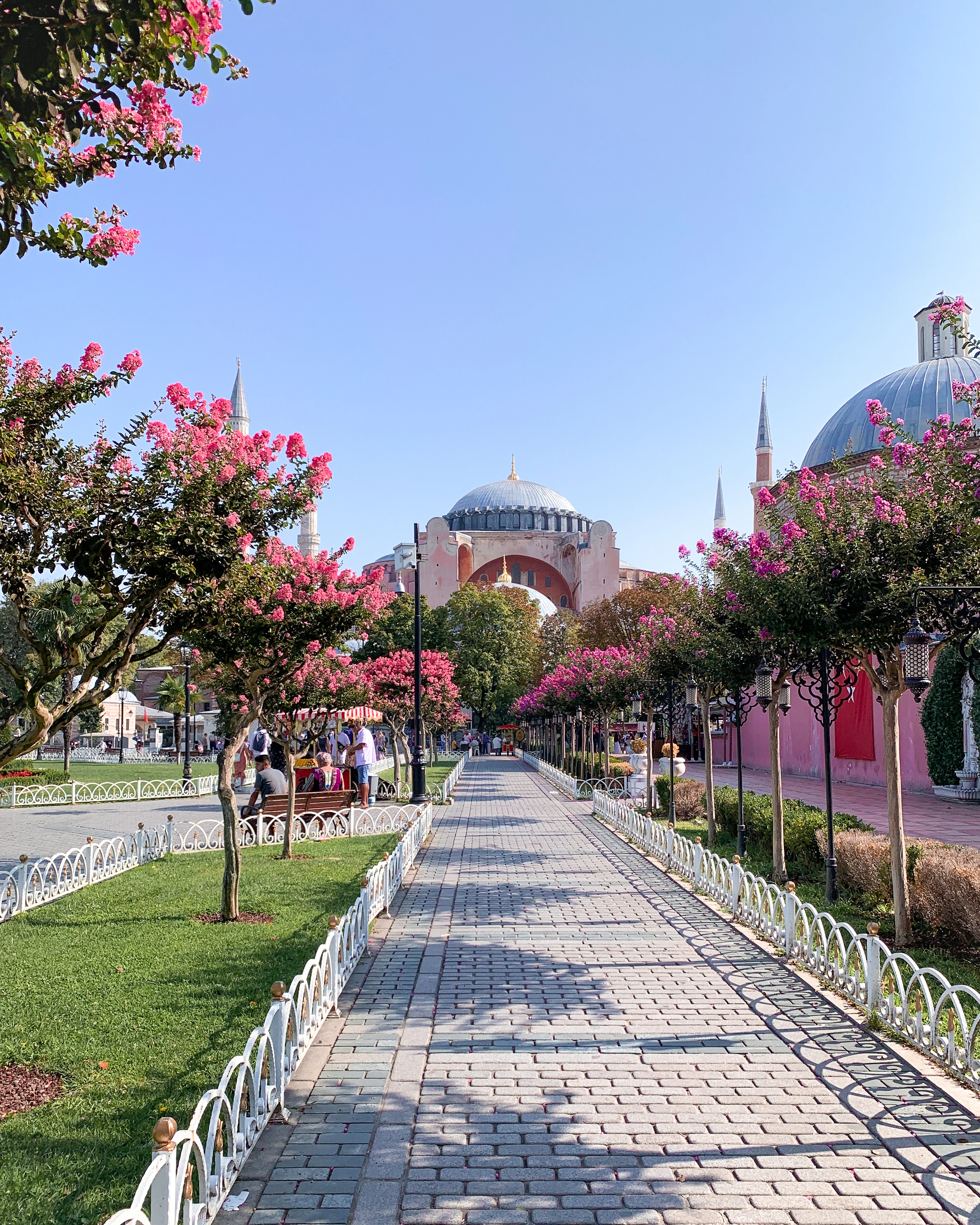 A path through blossom in Sultanahmet with the domes and minarets of Hagia Sophia beyond