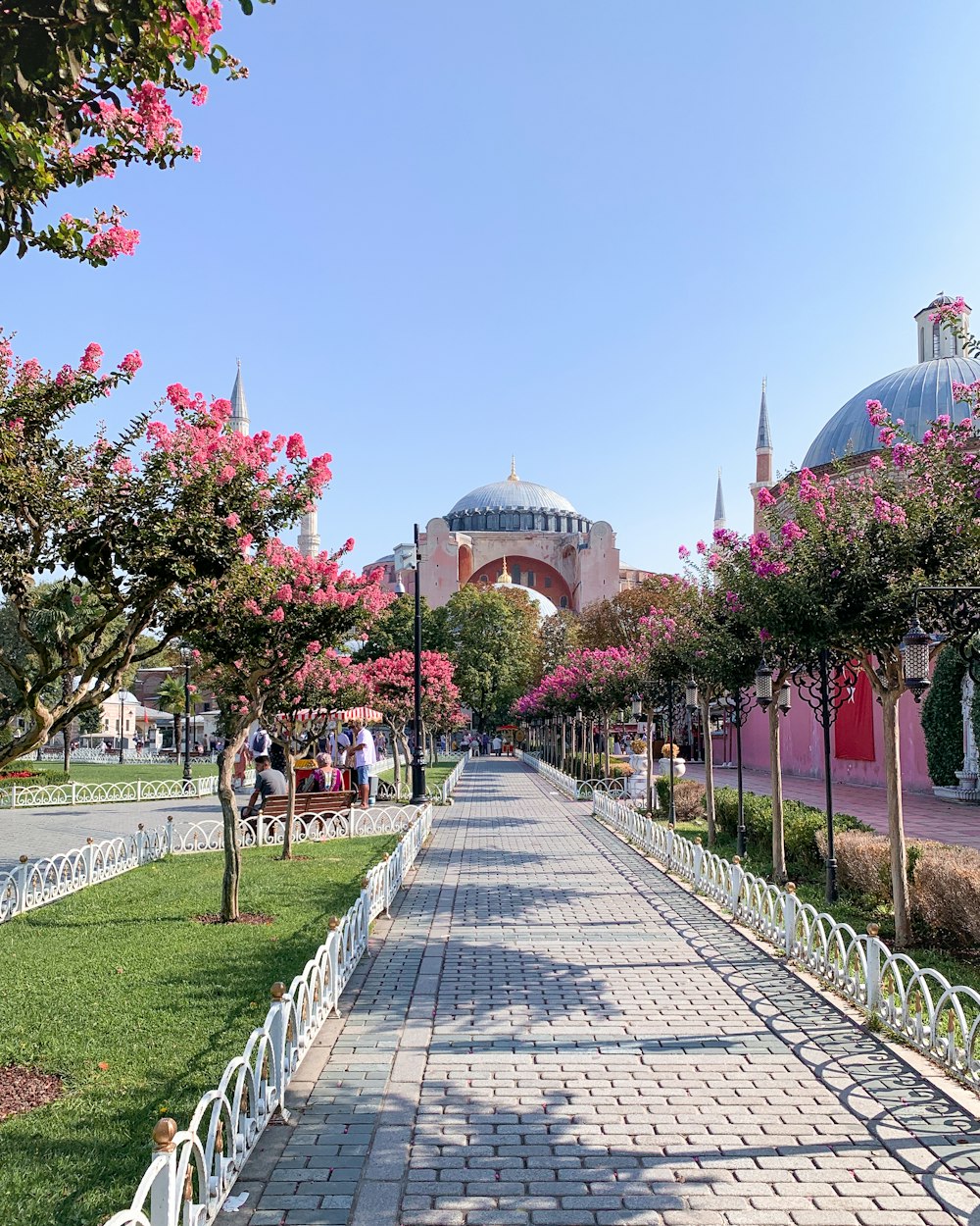 people walking on park near building during daytime