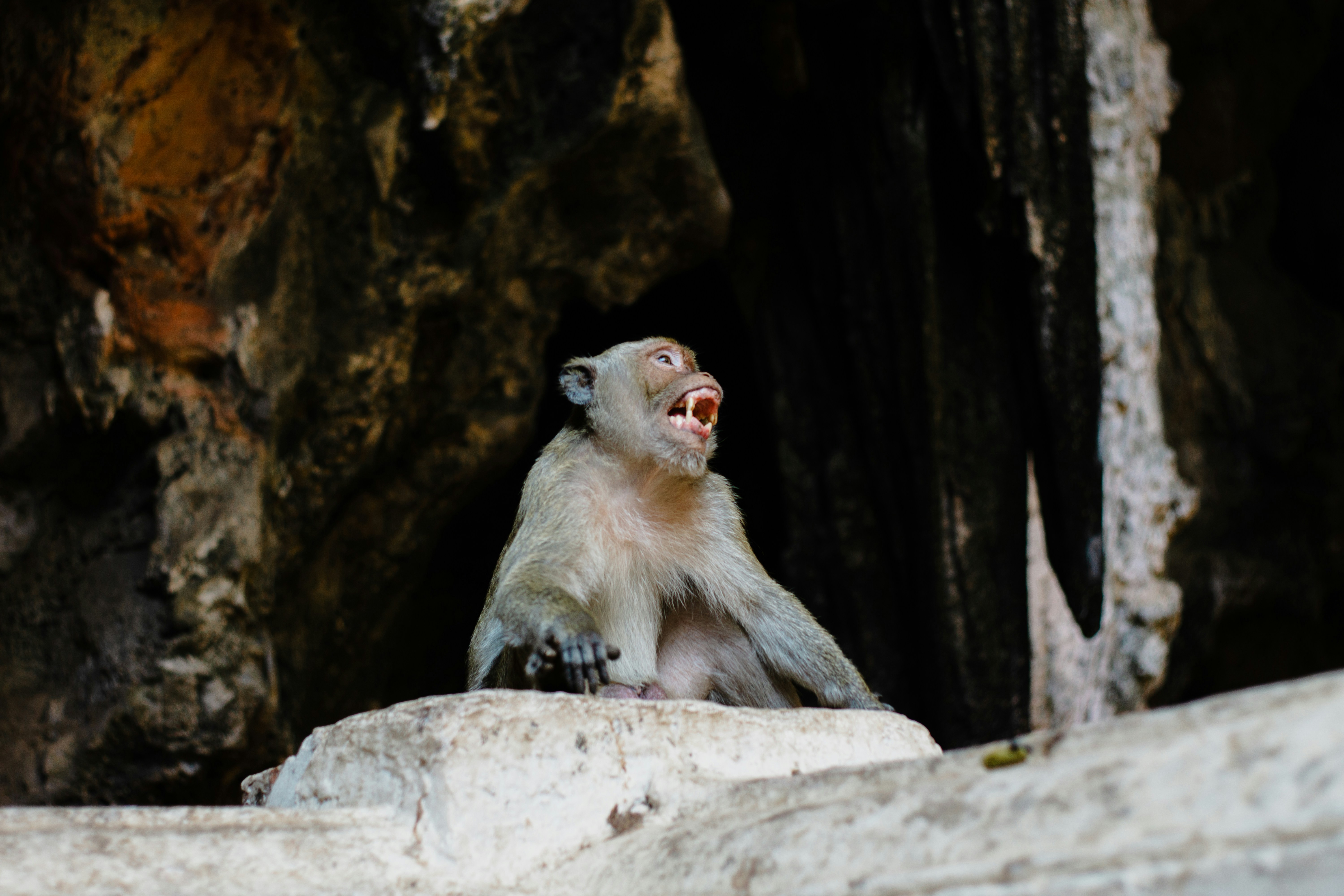 Photo by flashback_travel_guide