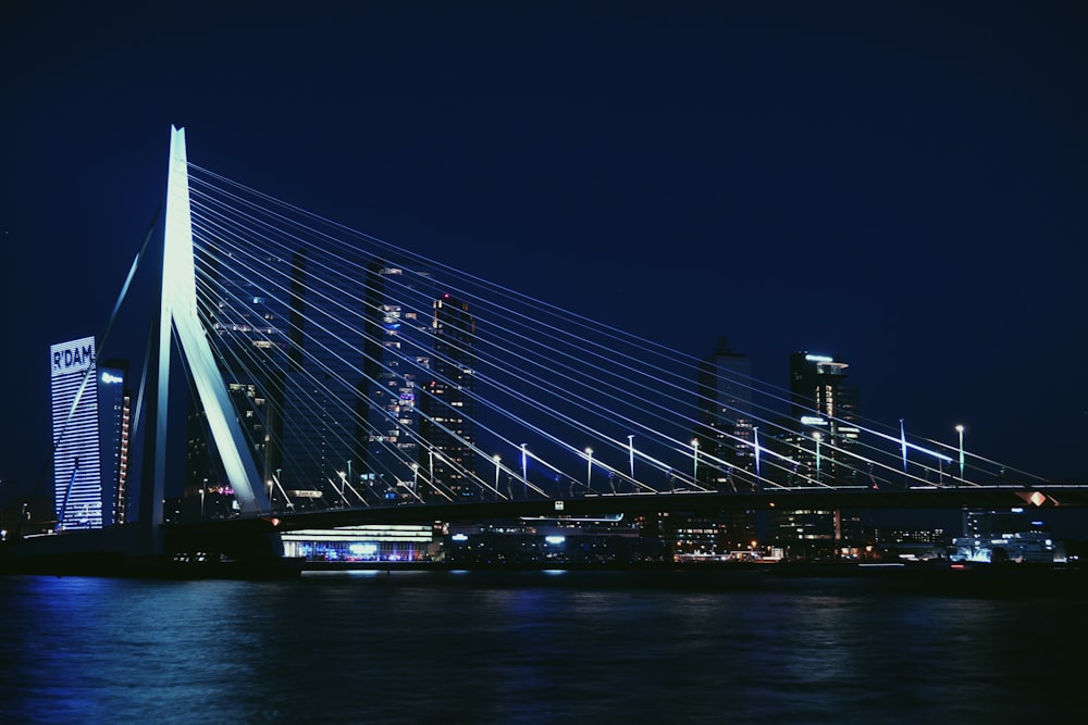 white bridge during night time