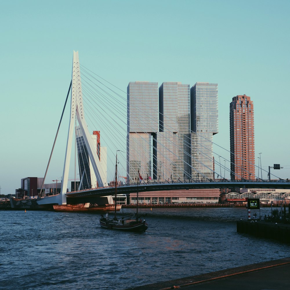 white and black boat on water near city buildings during daytime