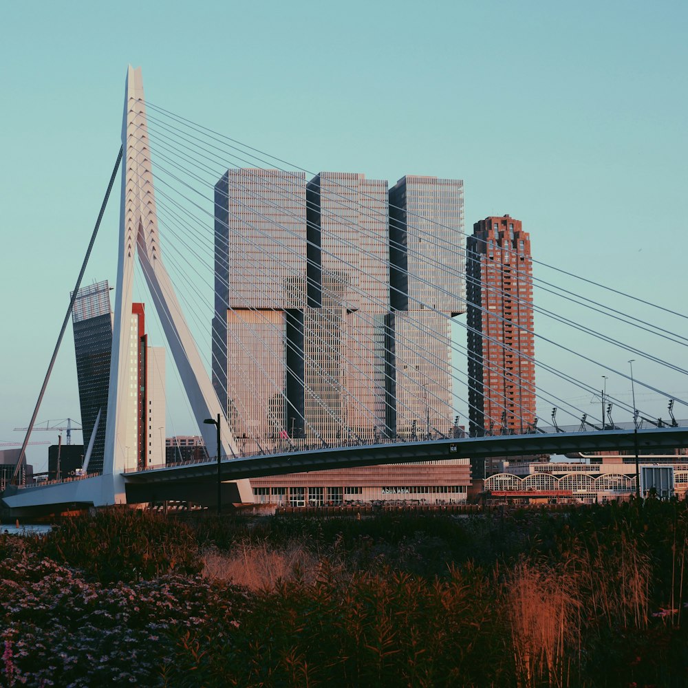 white bridge over body of water during daytime