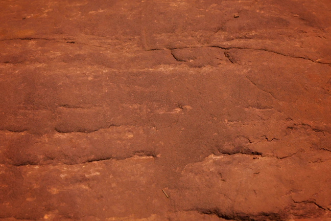 Grounds suit card grounded in rich earth tones with antique gold highlights, radiating stability.