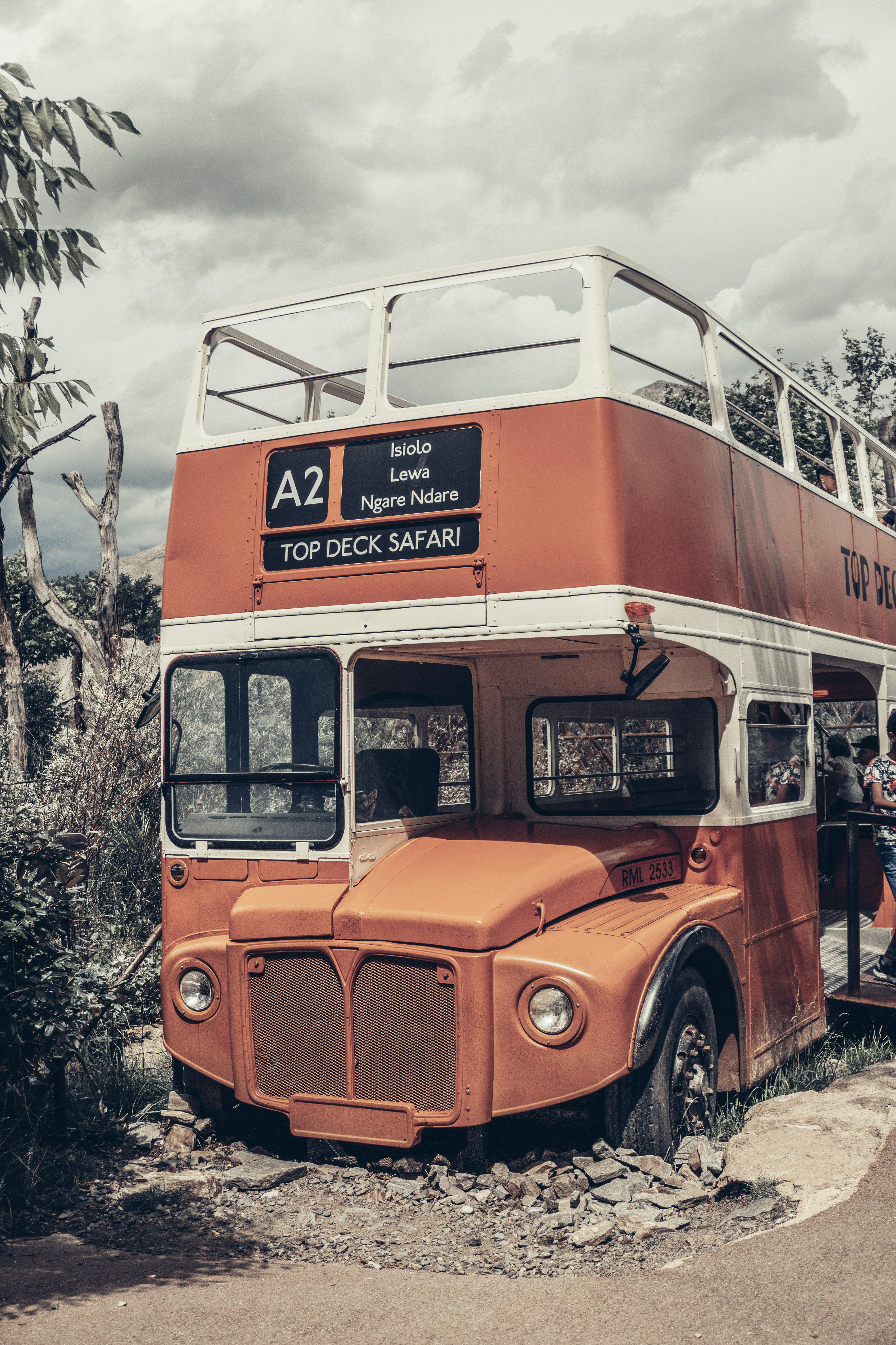 orange and white bus on road during daytime