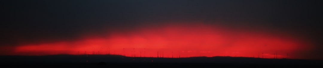 silhouette of trees during sunset