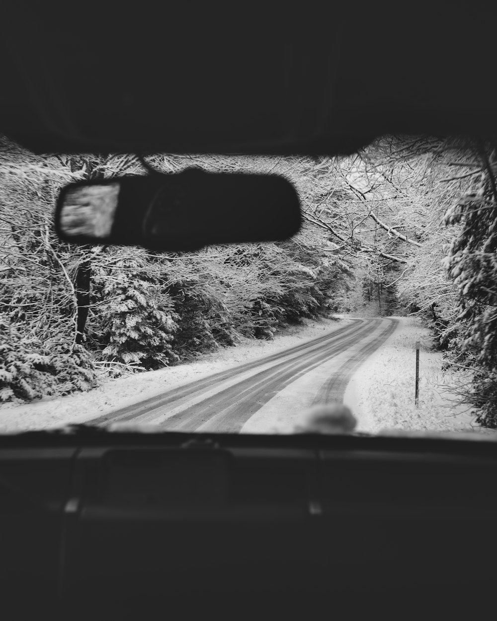 grayscale photo of car on road between trees