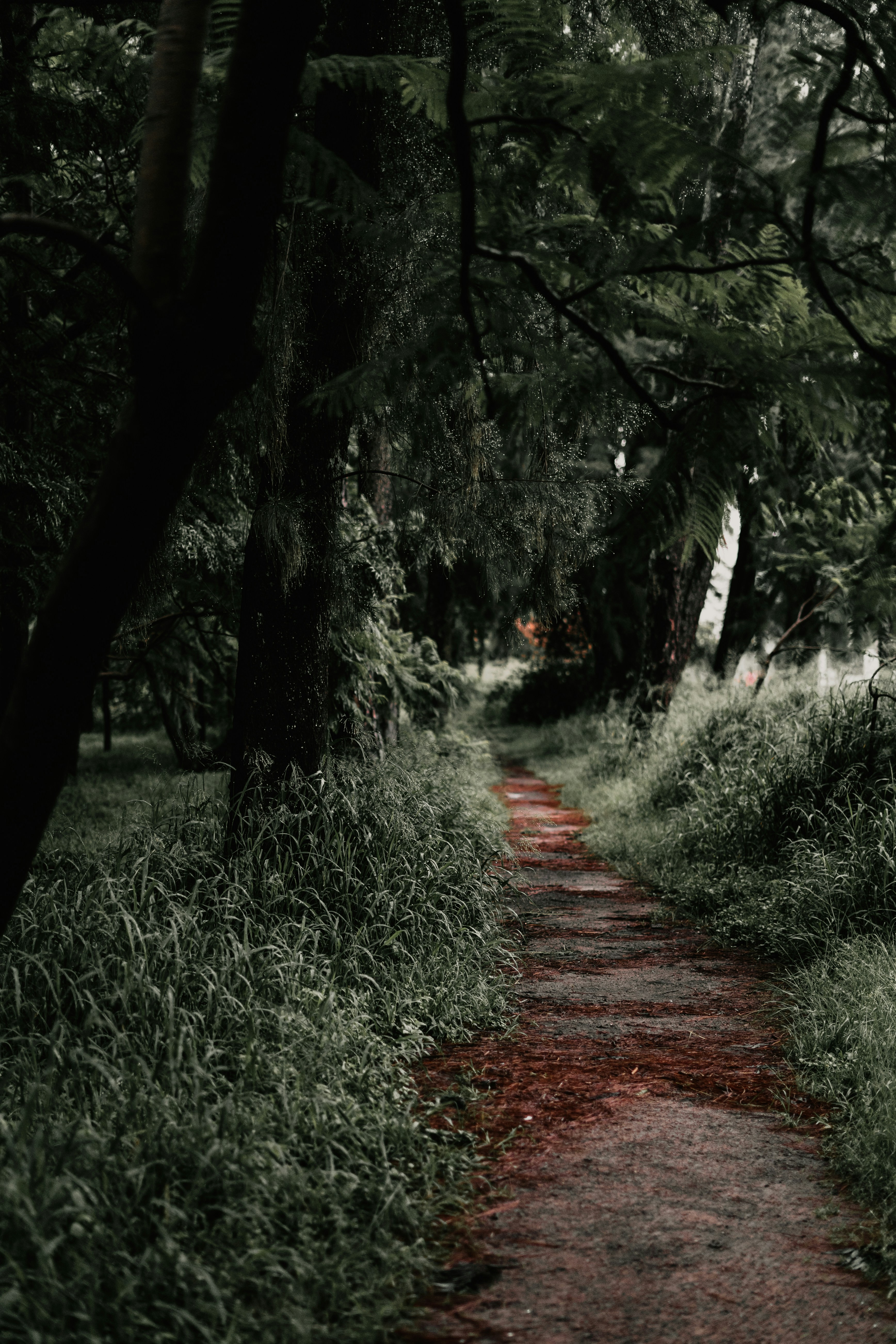 Photo by brunocervera