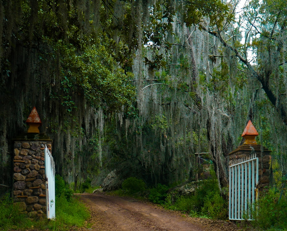 Casa de madera marrón cerca de árboles verdes durante el día