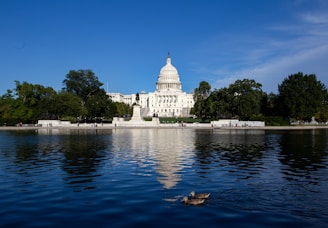 white concrete building near body of water during daytime