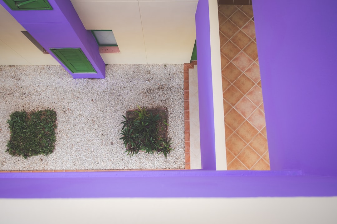 green plant on white and orange concrete wall