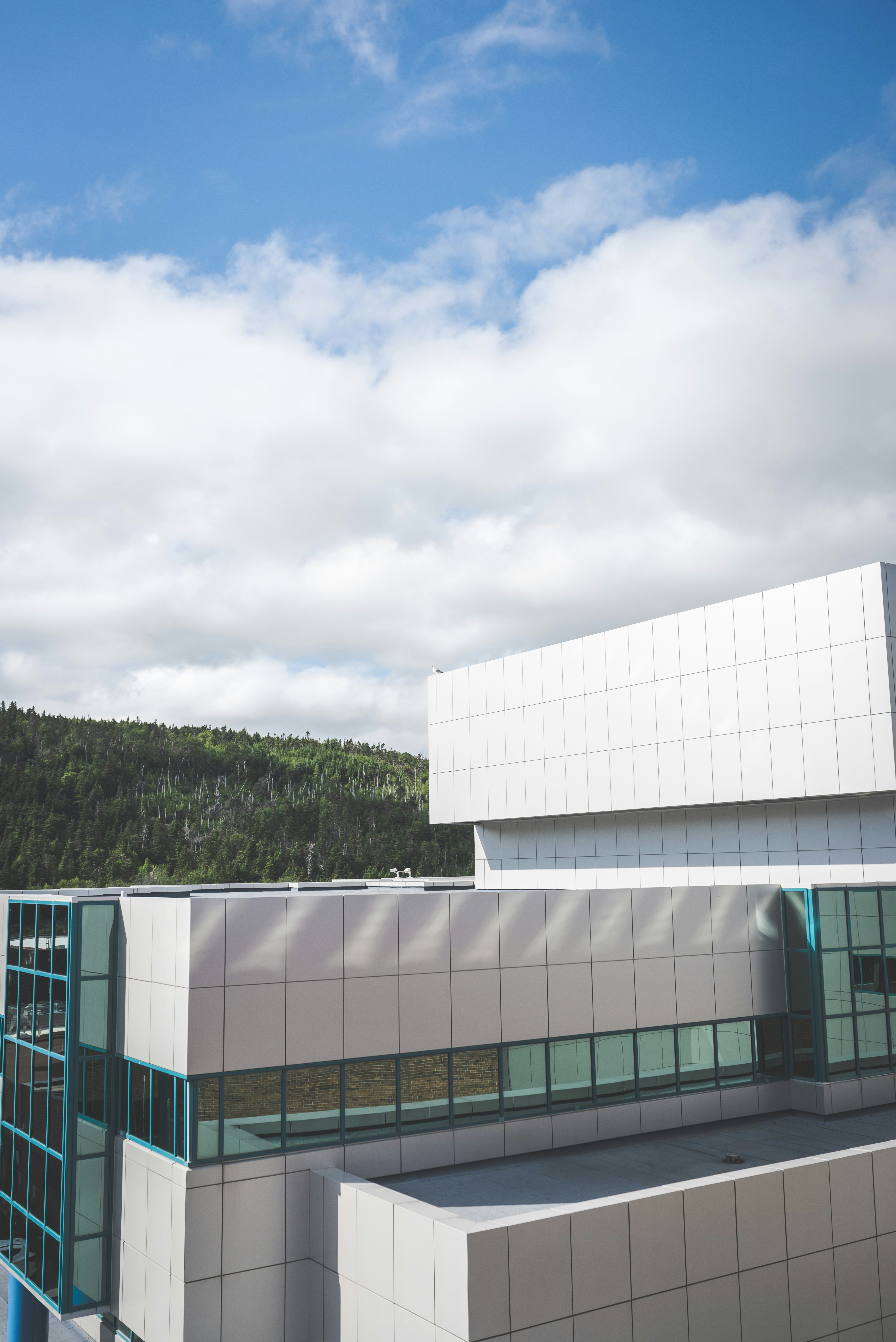 TD Cowen Maintains Buy on Exact Sciences, Raises Price Target to $90