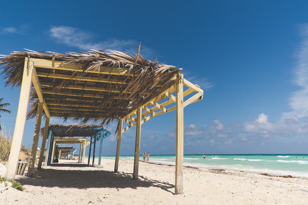 brown wooden beach house on beach during daytime