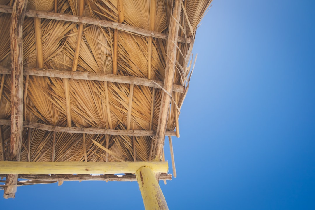 brown wooden roof under blue sky during daytime