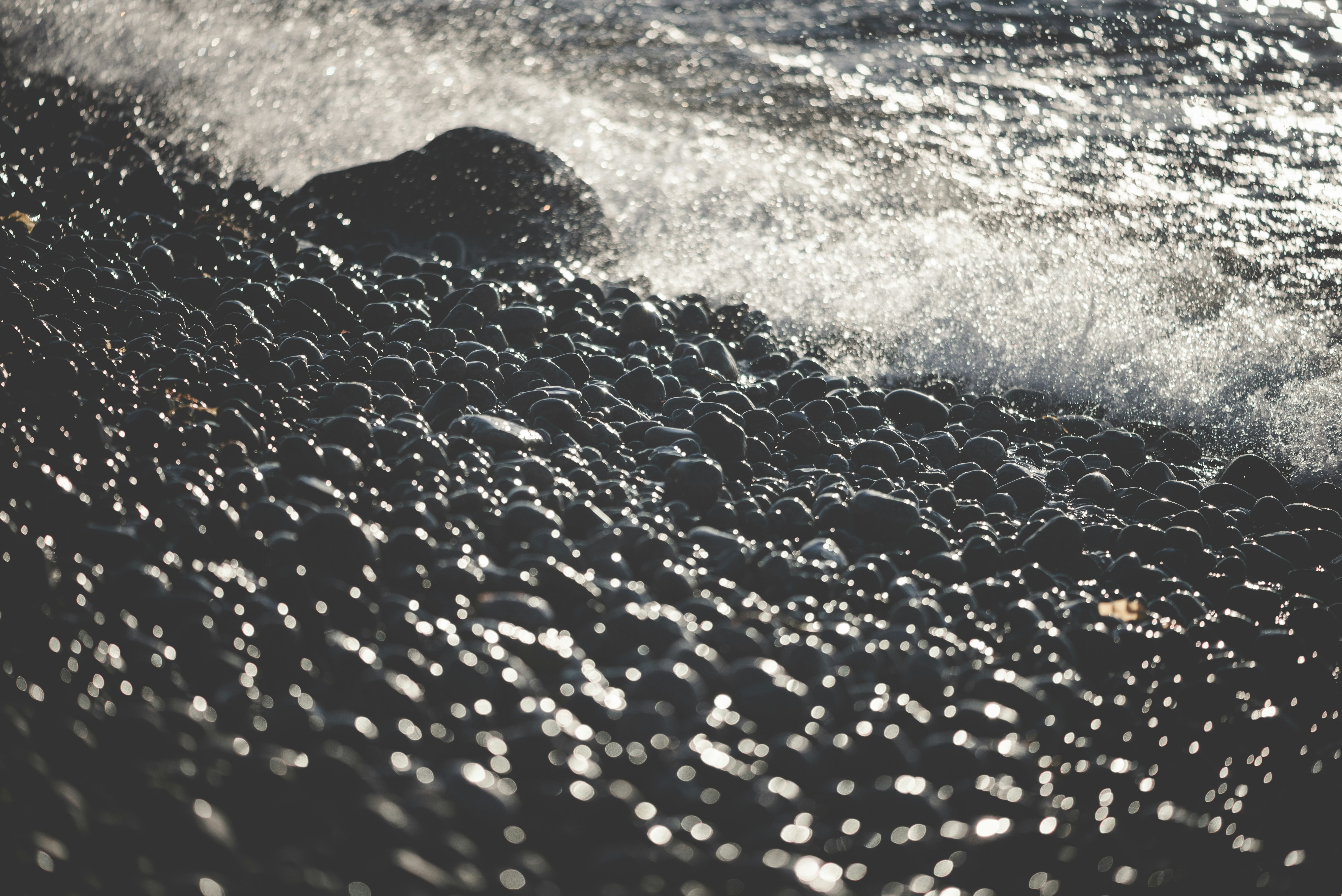 Photo by porkbellysteve