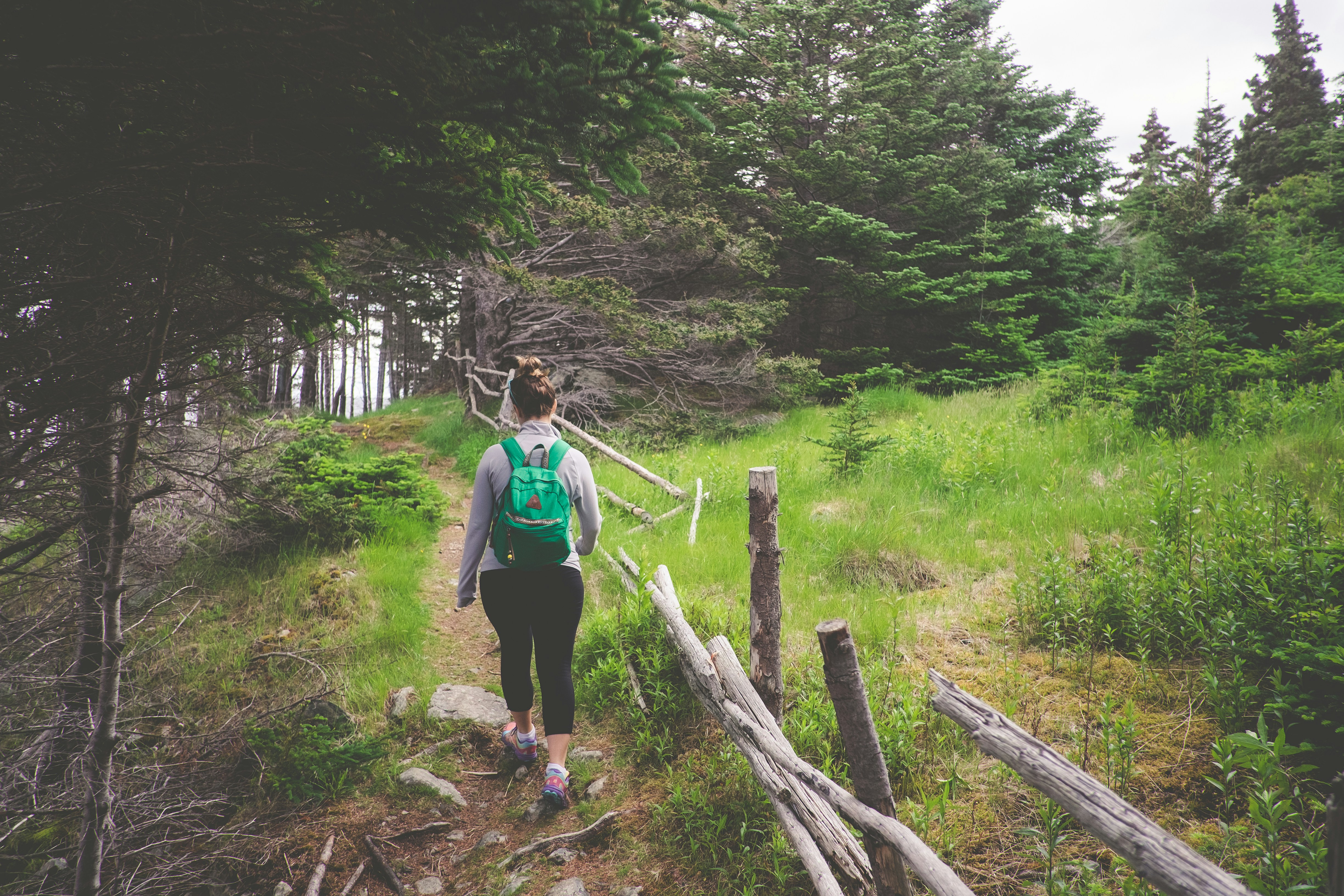 Photo by porkbellysteve