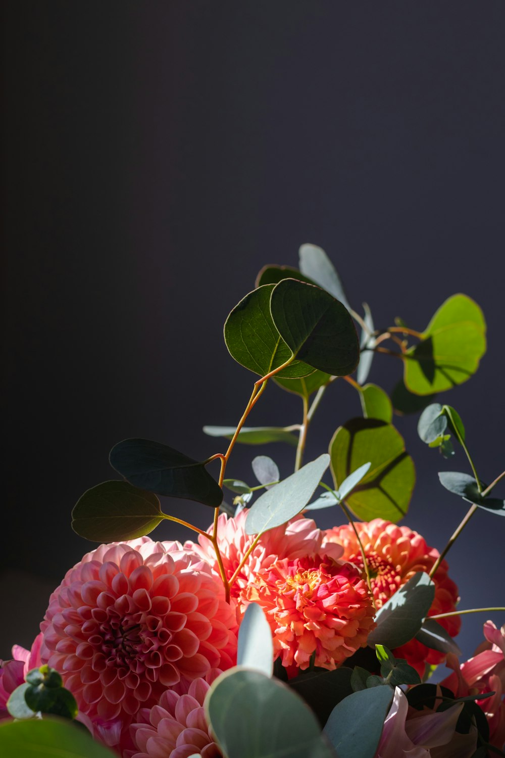 red flower with green leaves