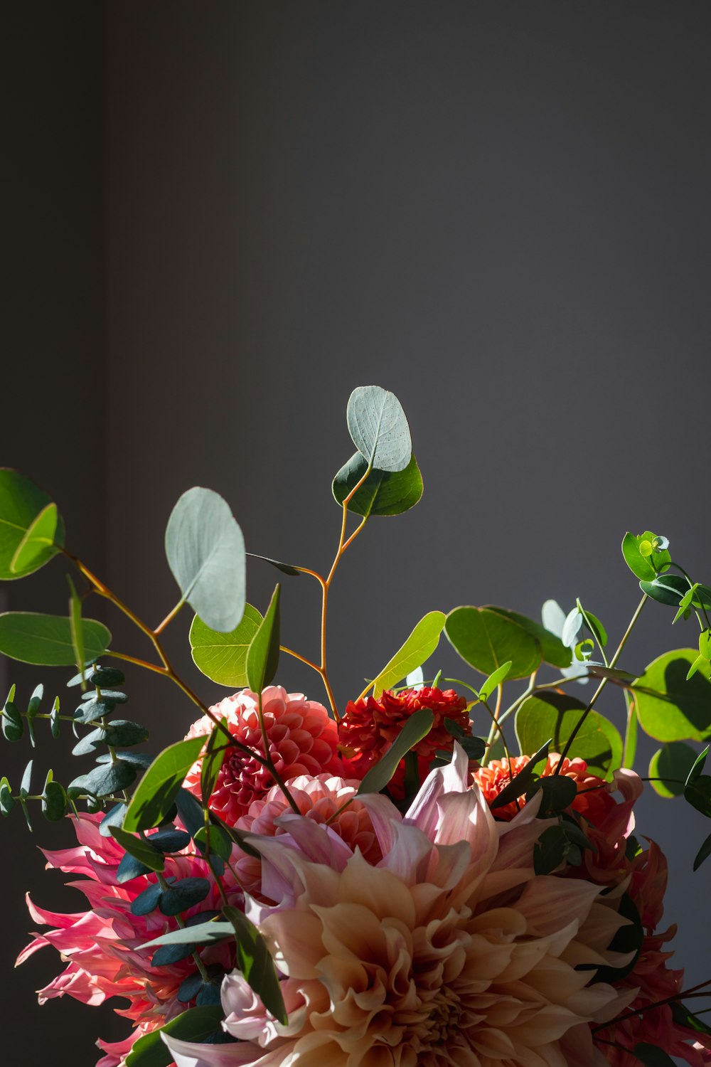 red and pink flowers with green leaves