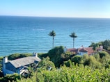 A coastal scene features two houses surrounded by lush greenery overlooking a vast, calm ocean with a clear blue sky above. Two tall palm trees stand prominently between the houses, adding a tropical feel to the landscape.