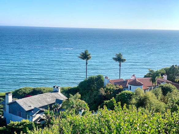 A coastal scene features two houses surrounded by lush greenery overlooking a vast, calm ocean with a clear blue sky above. Two tall palm trees stand prominently between the houses, adding a tropical feel to the landscape.
