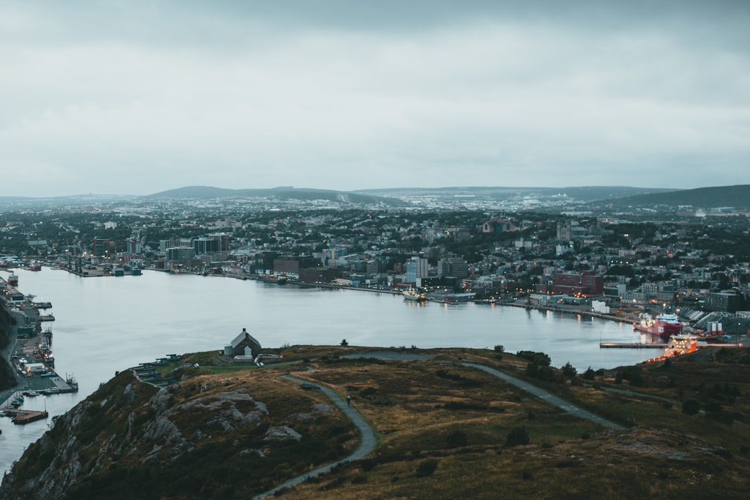 birds eye view of city during daytime