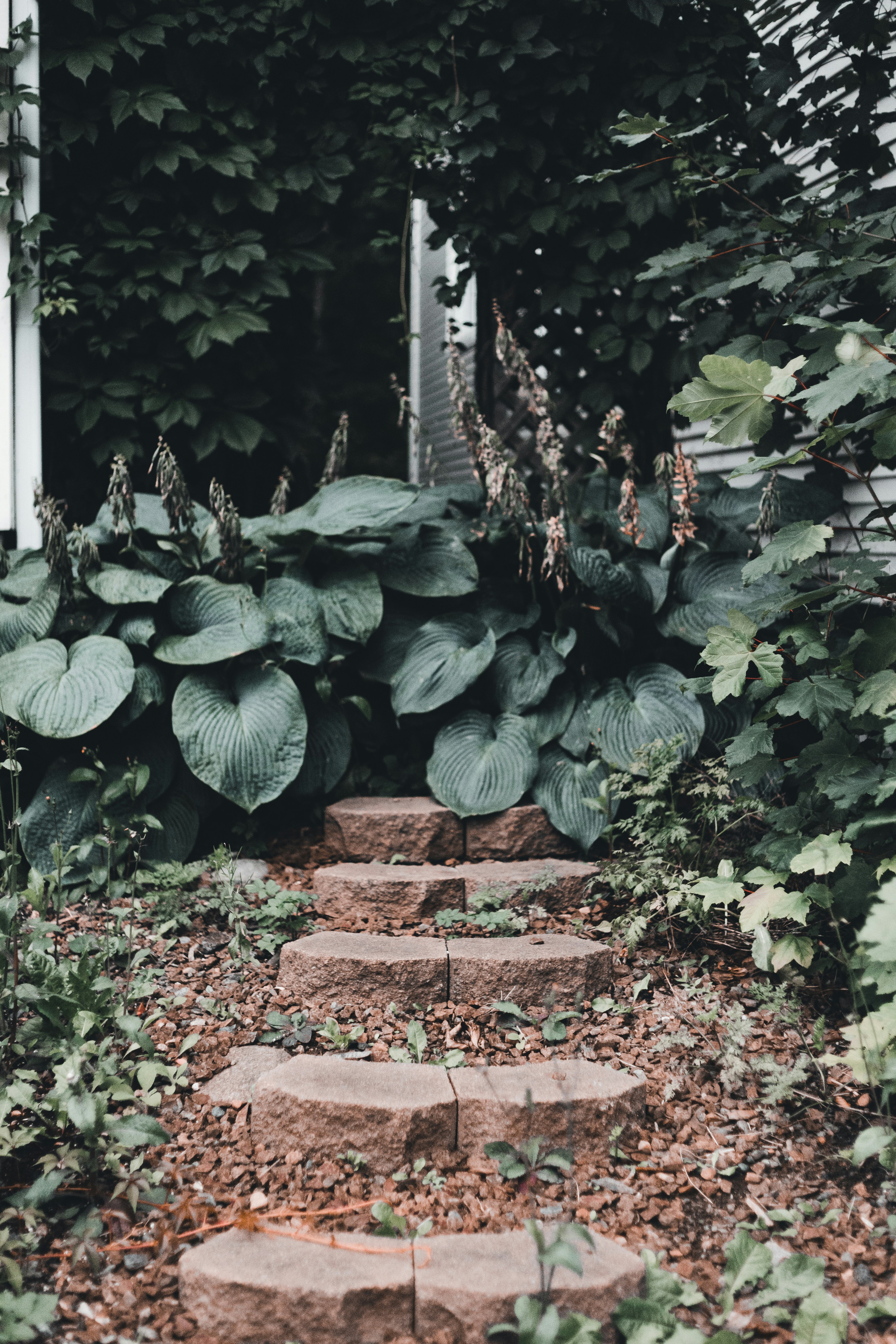 Photo by introspectivedsgn