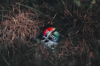 A brightly colored package rests on a bed of dry grass, with a mix of brown and green hues framing the scene. The package features the brand name 'Trustex' in bold white letters against a vivid gradient background, suggesting a dynamic contrast to its natural surroundings.