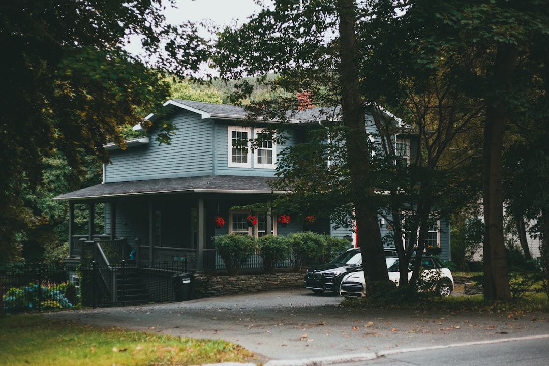 black motorcycle parked beside green tree