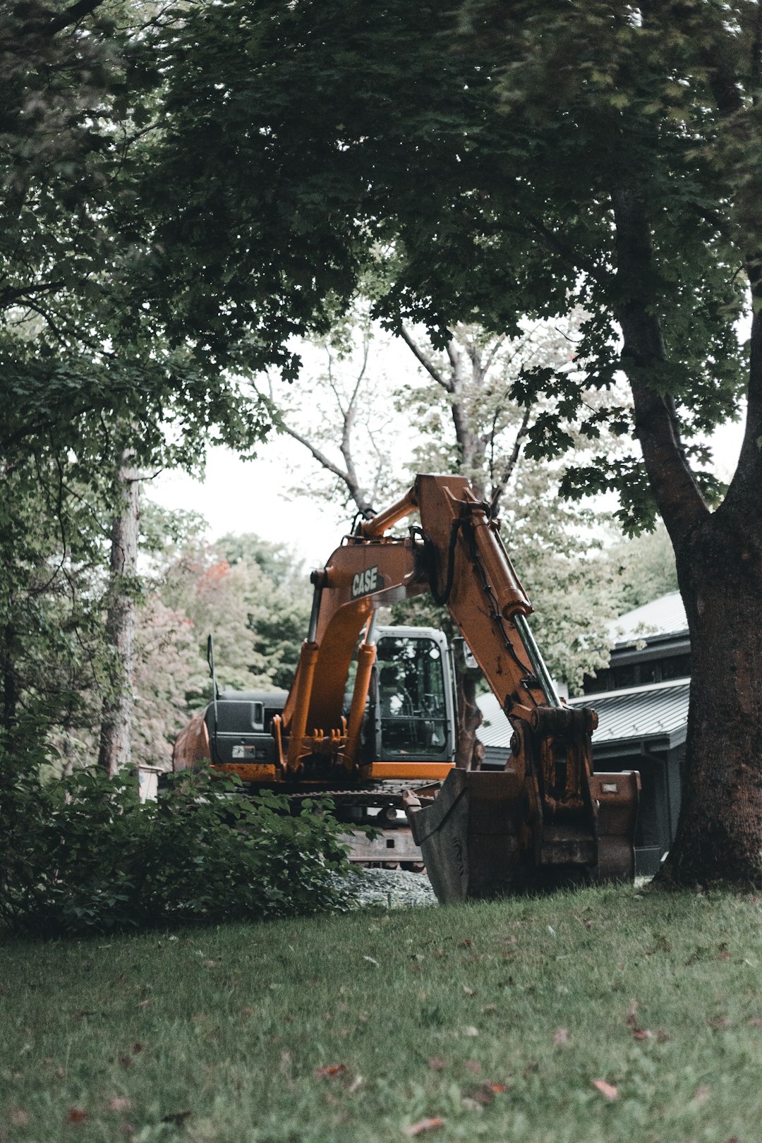 yellow and black excavator near green trees during daytime