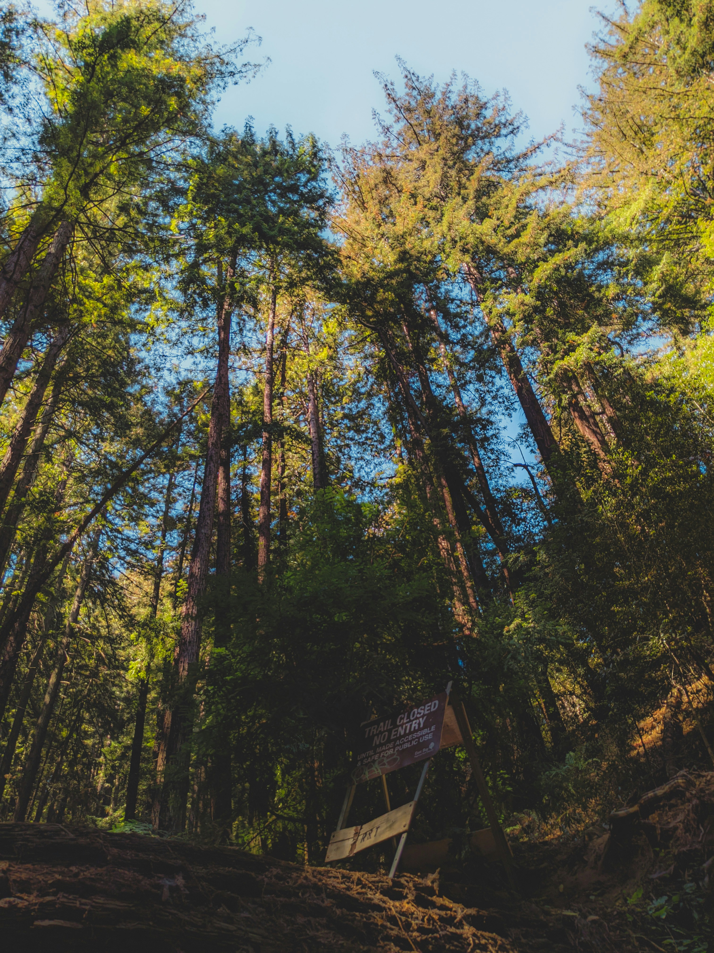 Safety and Security Enhancements