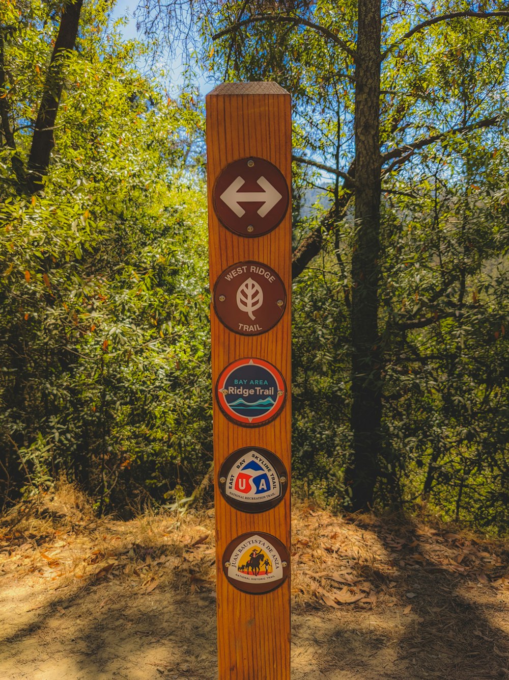 brown wooden analog clock on brown soil