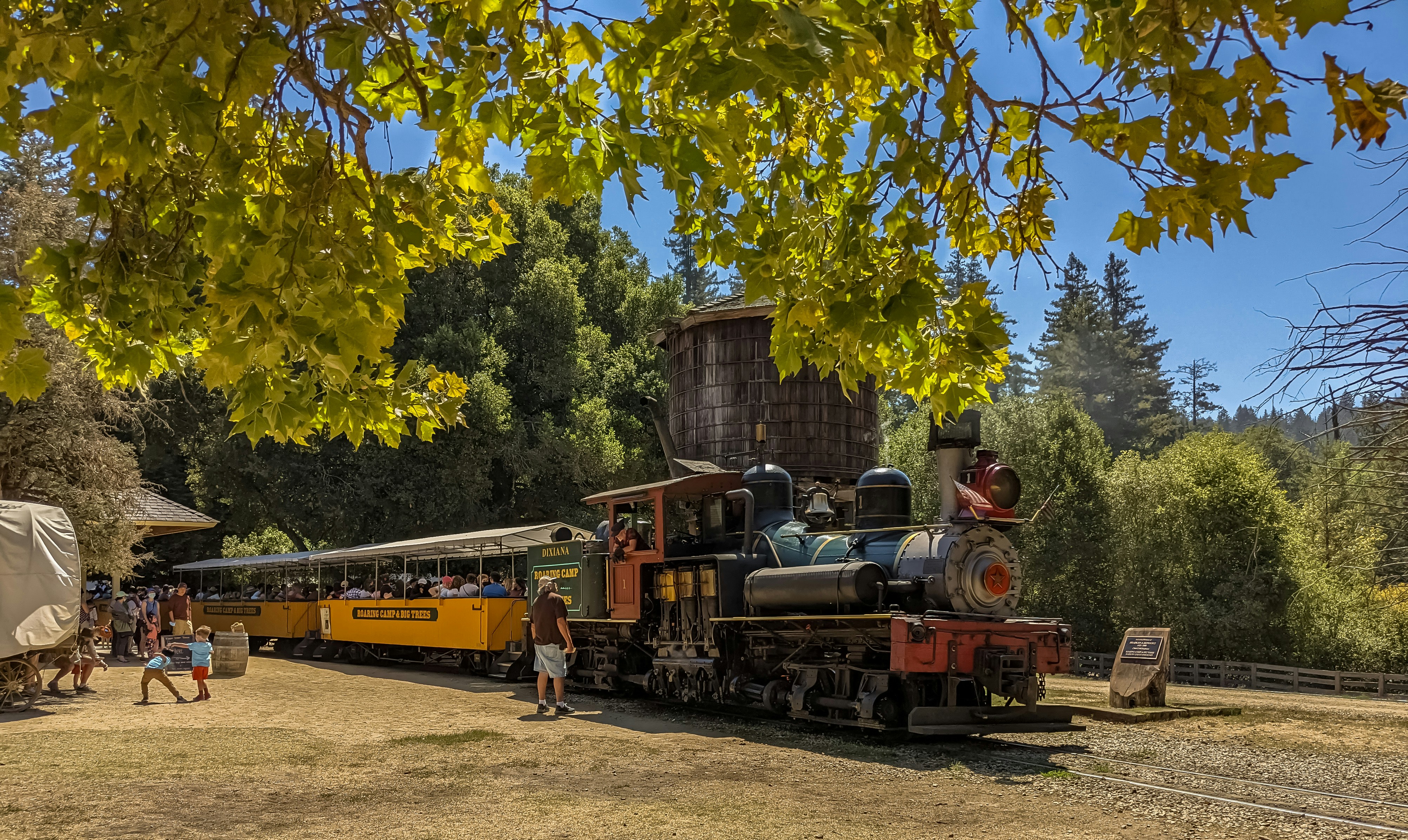 red and black train near green trees during daytime