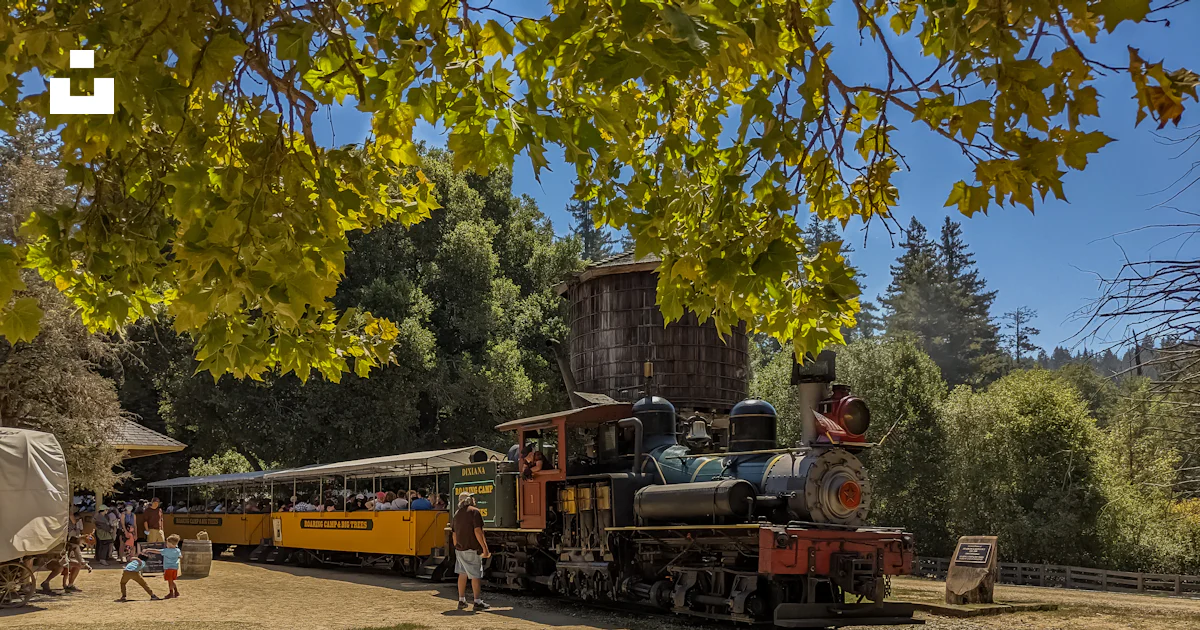 Tree By Train Red and black train near green trees during daytime photo – Free Big ...