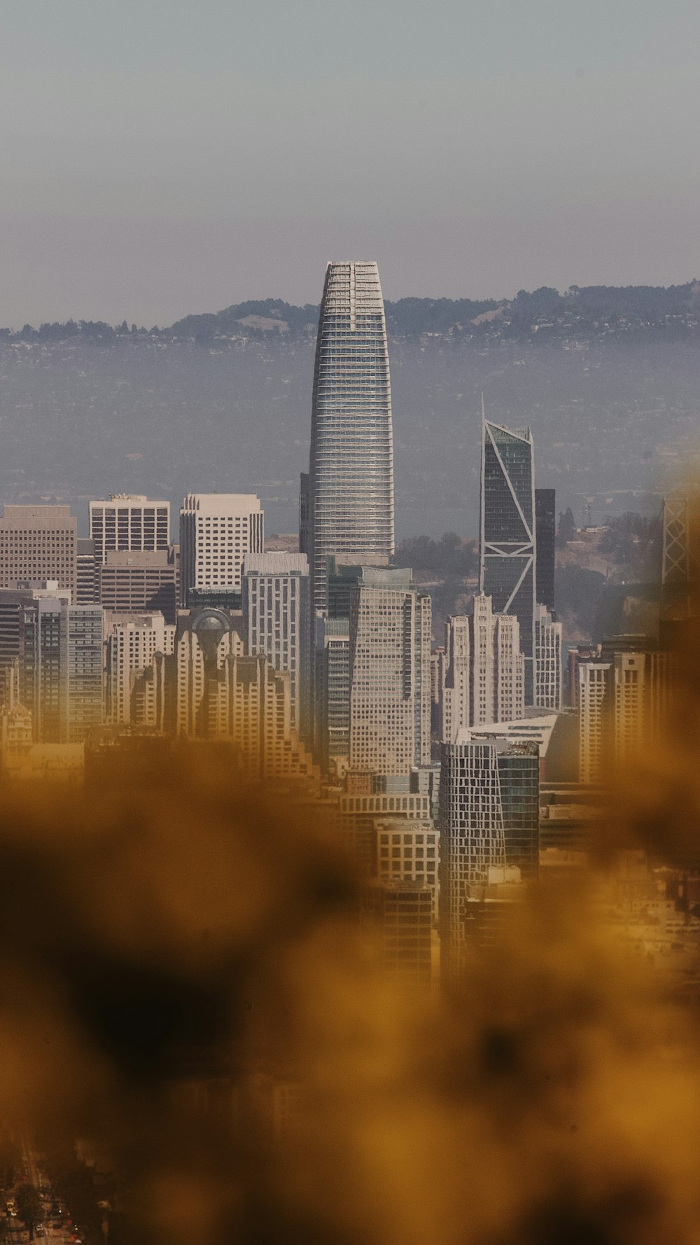 white and black city buildings during daytime