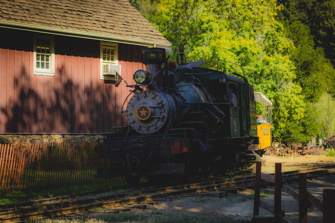 From Redwoods to Surf: Why Train Travel is the Best Way to See the… — Experience the Most Breathtaking Scenic Train