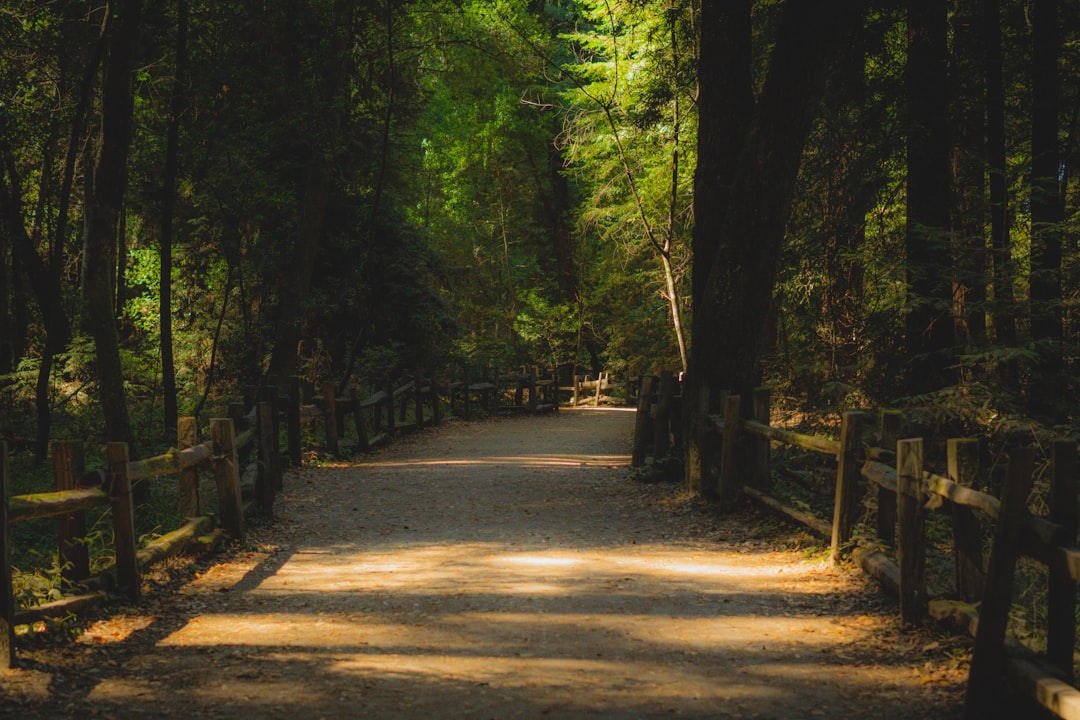 Hidden gems and local legends to