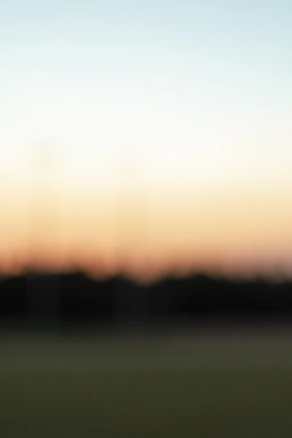 sun setting over green grass field