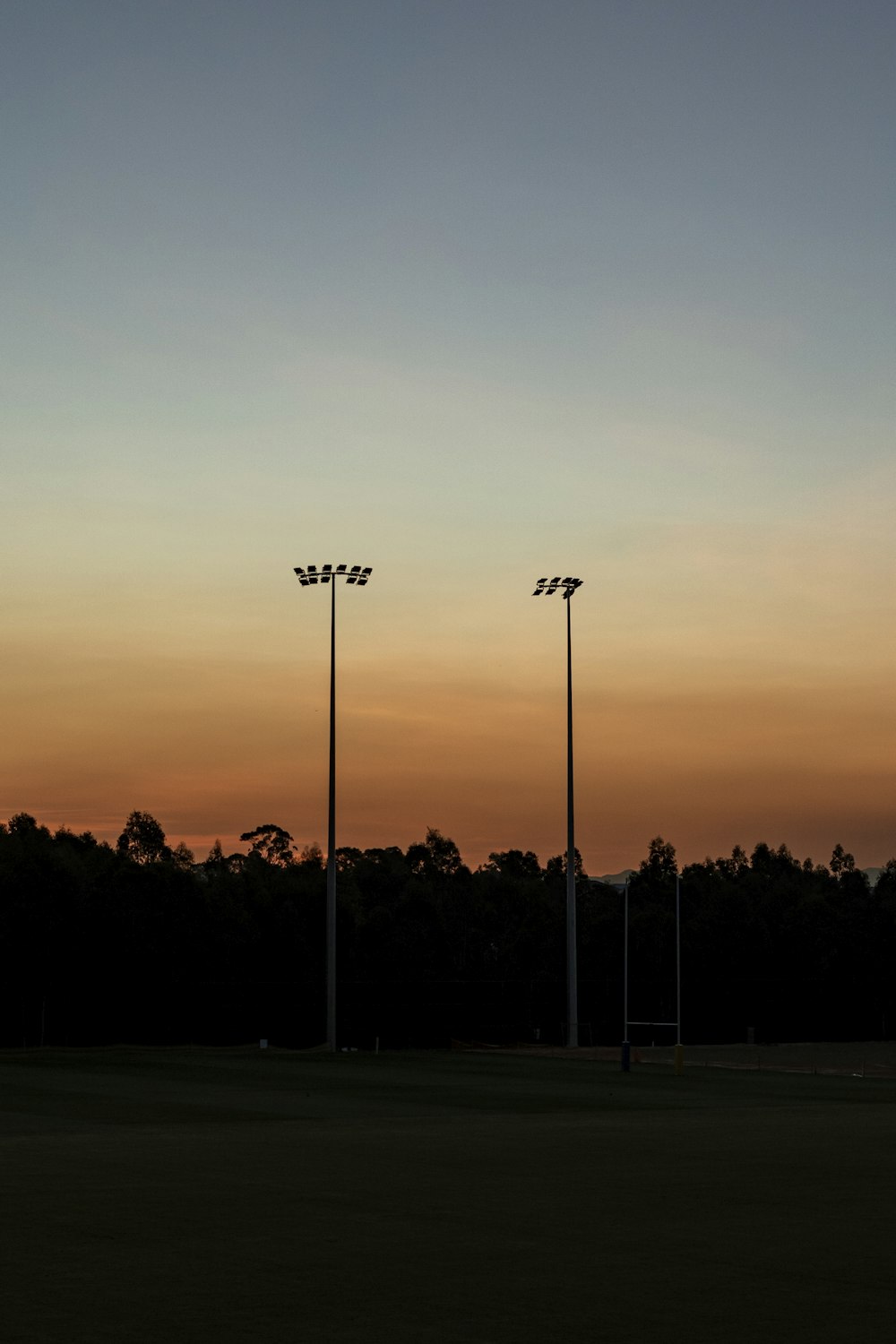 silhouette of trees during sunset