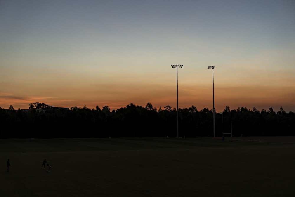 silhouette of trees during sunset