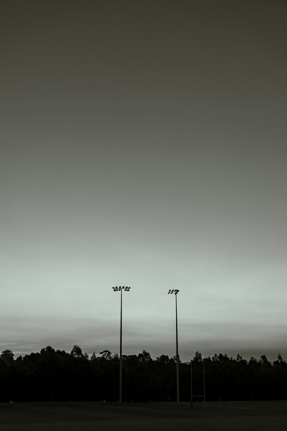 silhouette of trees under gray sky