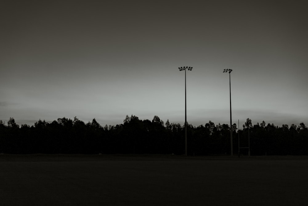 silhouette of trees under gray sky