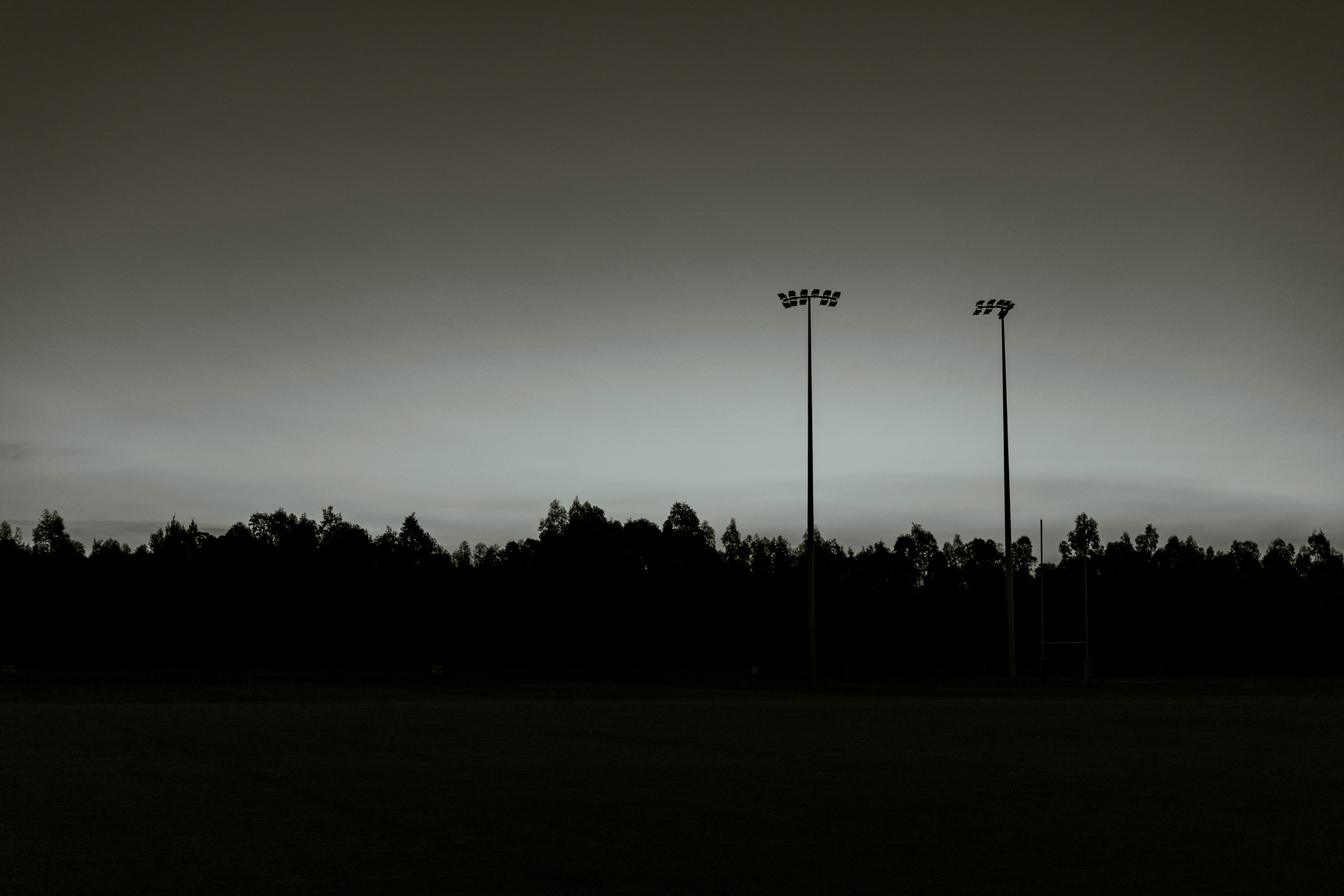 silhouette of trees under gray sky