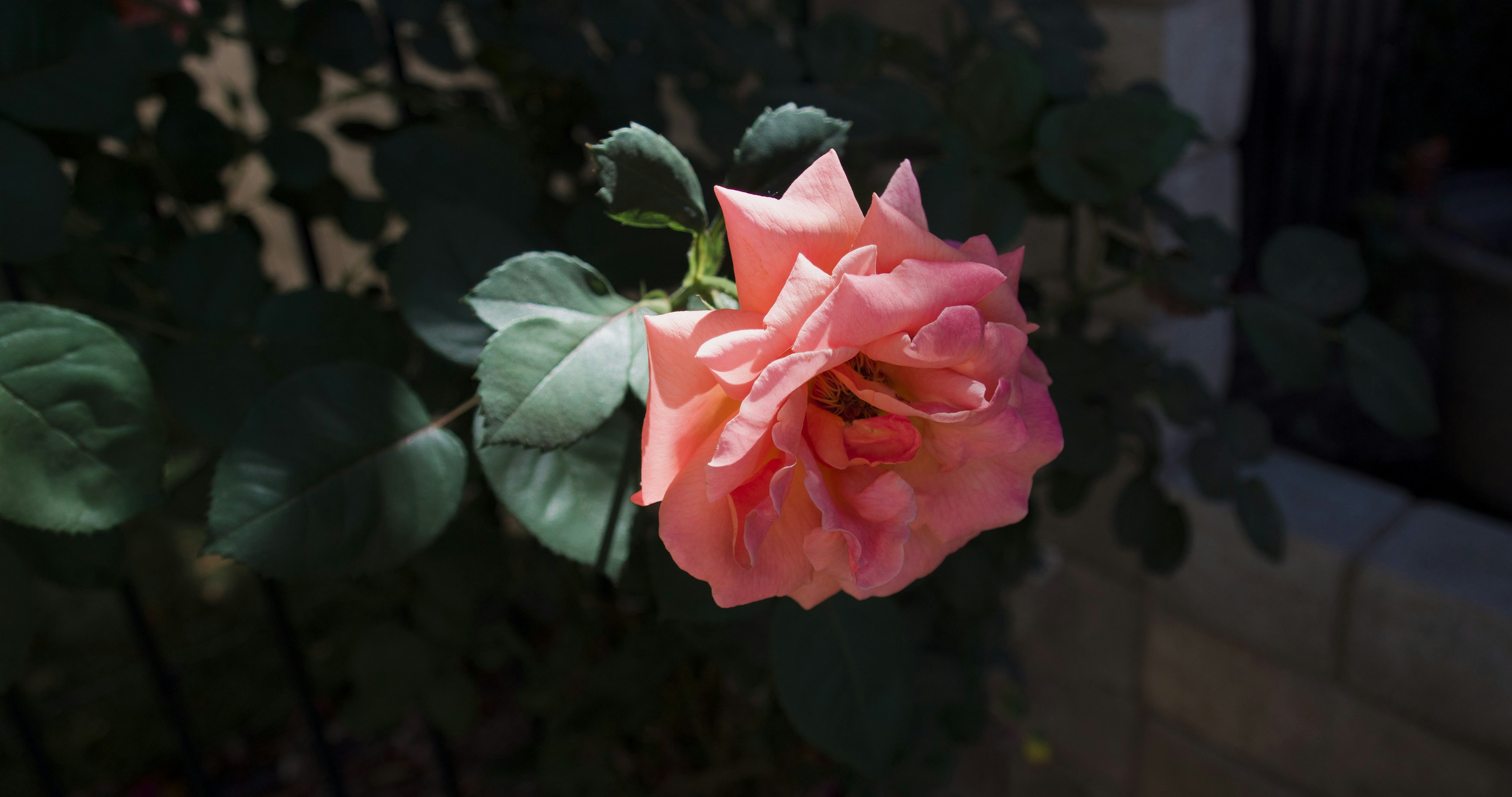 Photo by _nickwright_