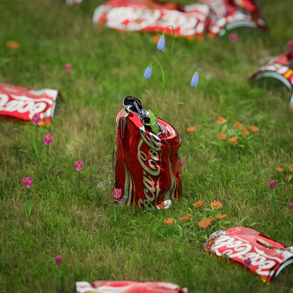 red and white textile on green grass field